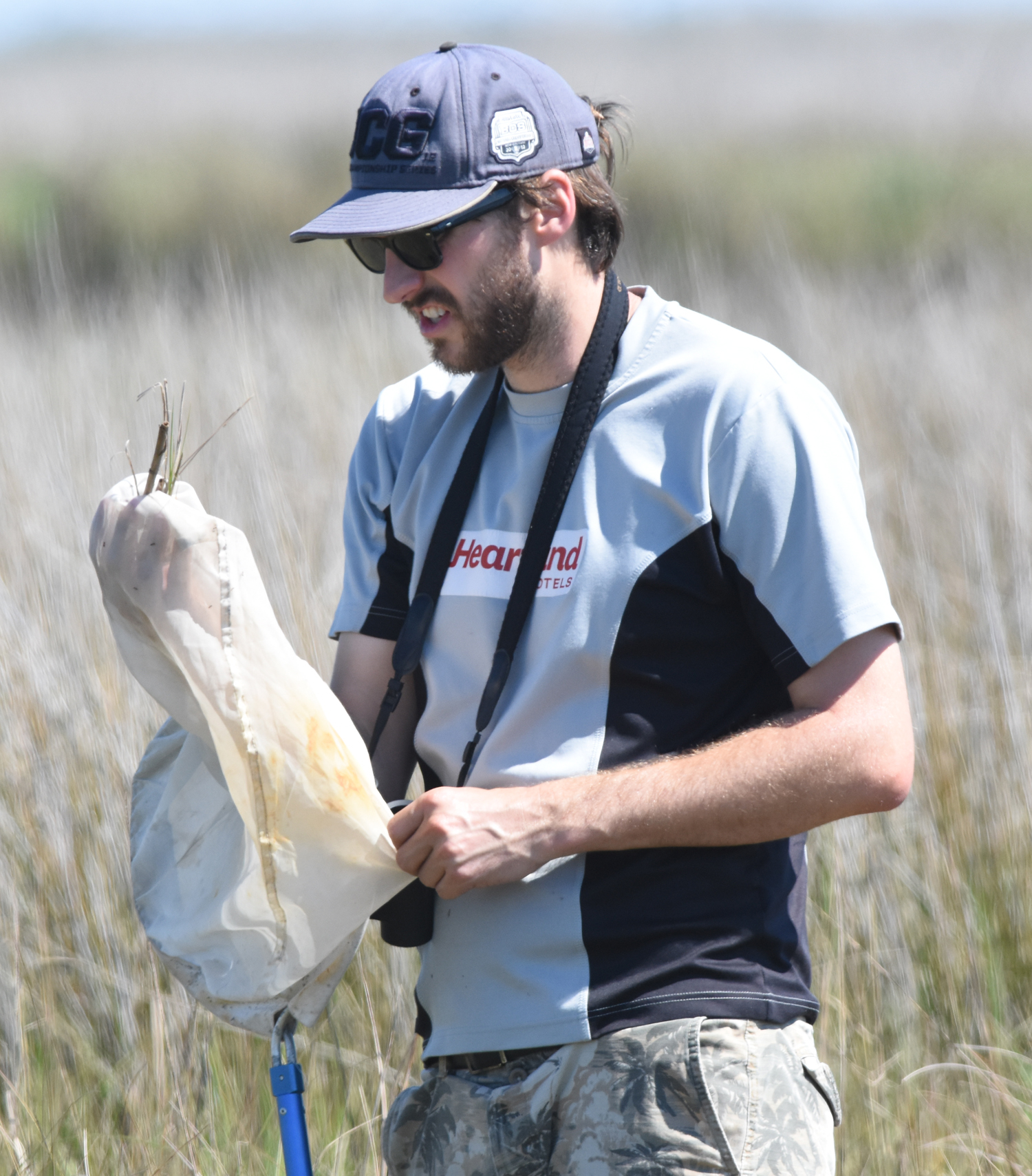 Warwick Allen with sweep net